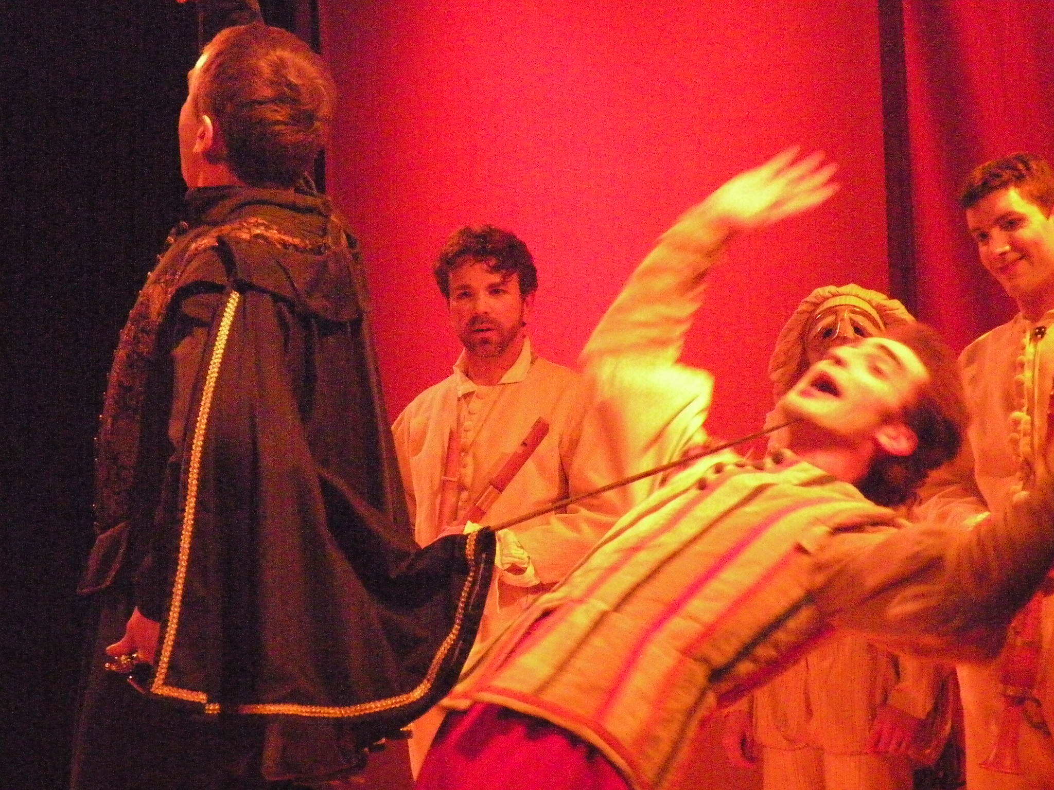 LA NUIT DES ROIS  D'après William Shakespeare
