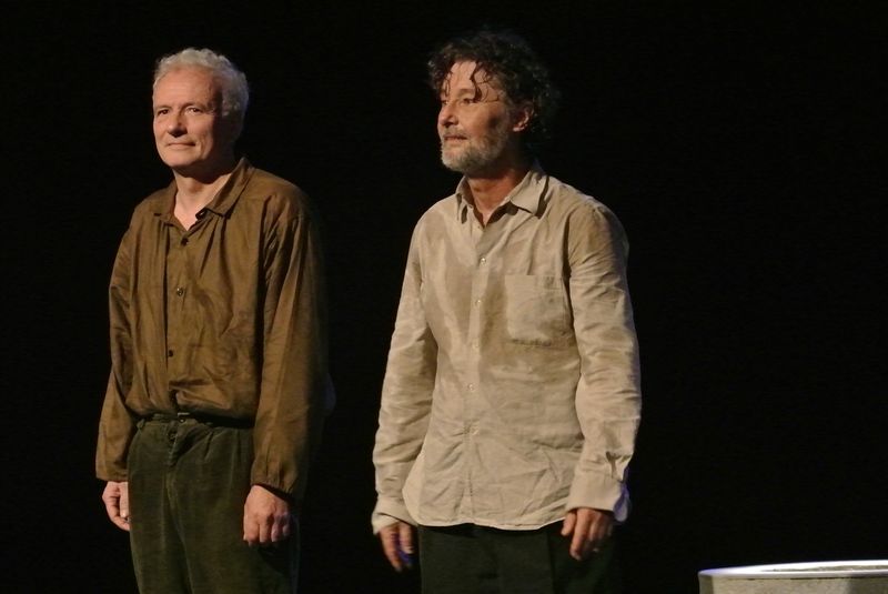 DU PAIN PLEIN LES POCHES De Matéi Visniec