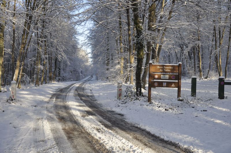 Neige et soleil