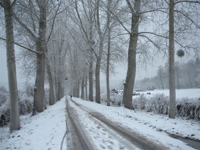 Neige et soleil