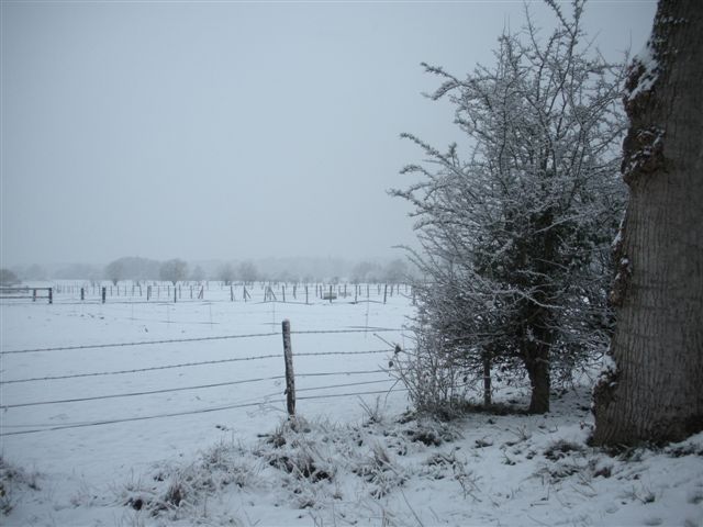 Neige et soleil
