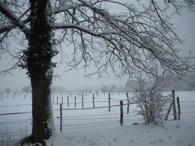 Neige et soleil