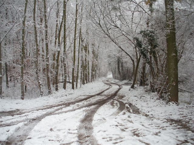 Neige et soleil