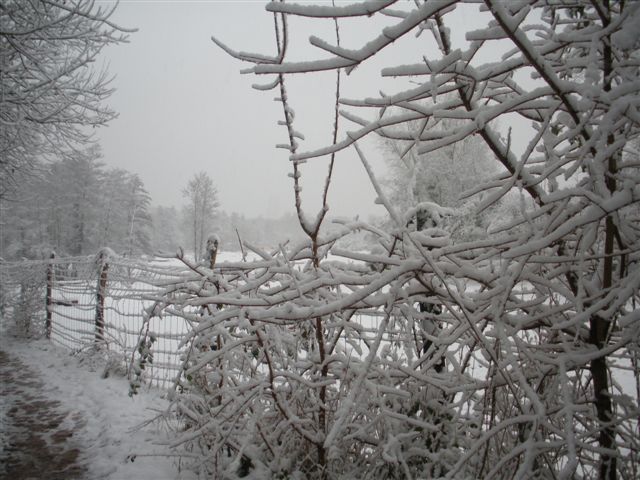 Neige et soleil
