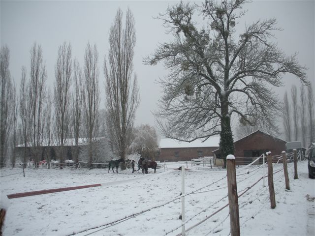 Neige et soleil