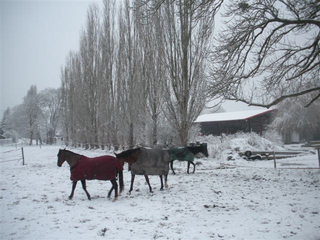 Neige et soleil
