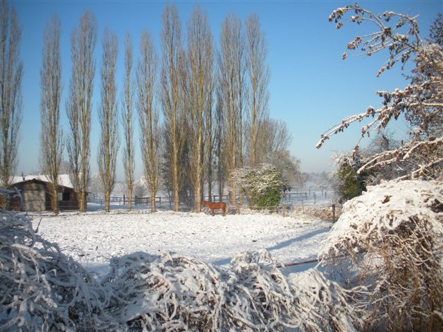 Neige et soleil