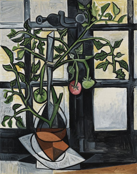 La tomate