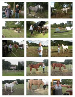 À CHEVAL !  LES VACANCES SONT FINIES…