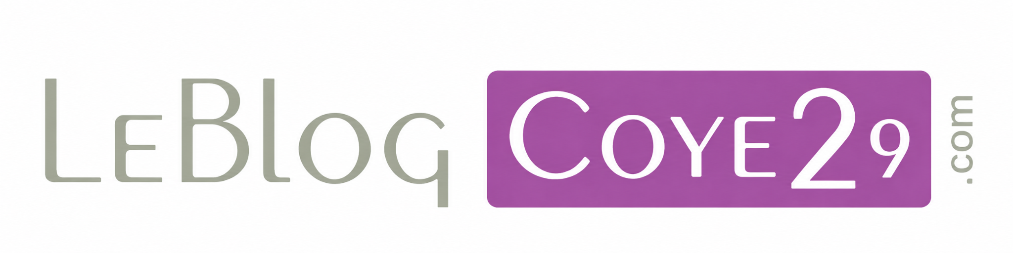 Le Blog Coye29